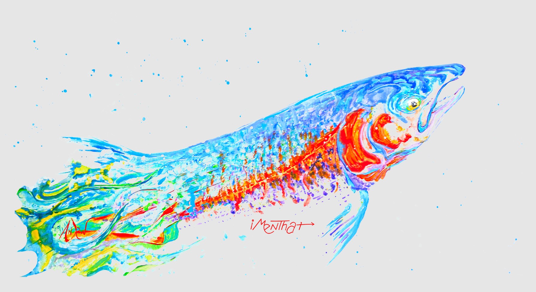 Fish Collection