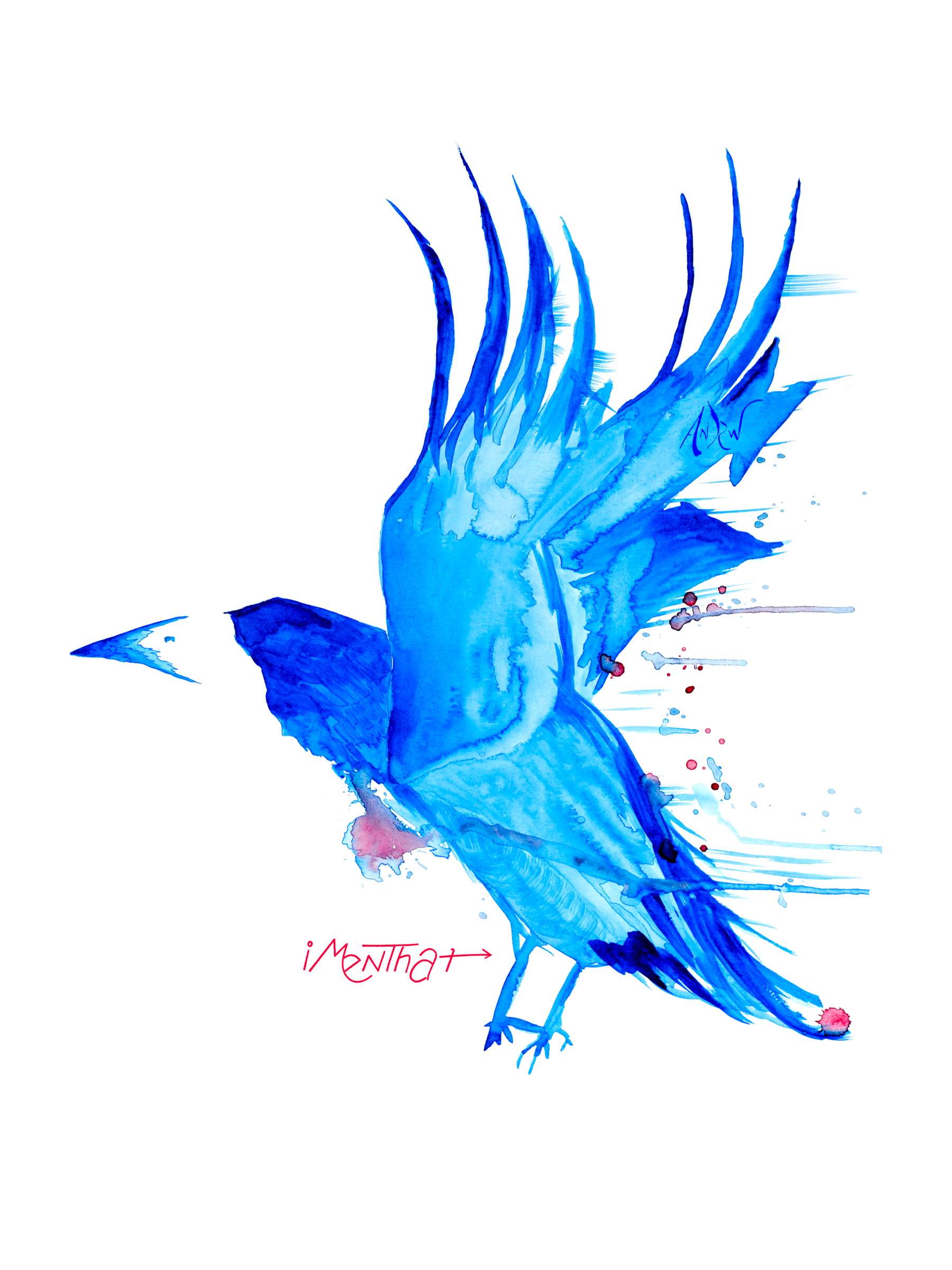 Bluebird Collection